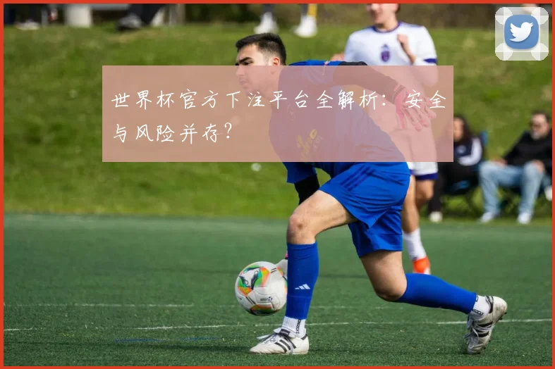 世界杯官方下注平台全解析：安全与风险并存？