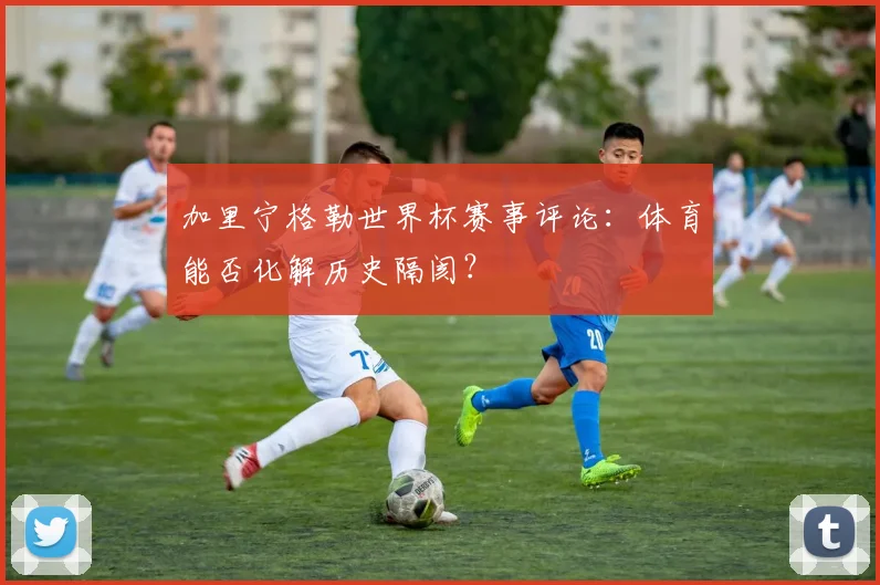 加里宁格勒世界杯赛事评论：体育能否化解历史隔阂？