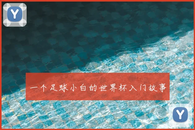 一个足球小白的世界杯入门故事