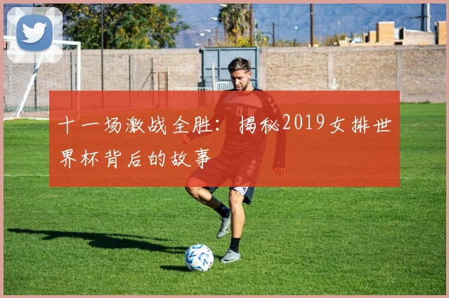 十一场激战全胜：揭秘2019女排世界杯背后的故事