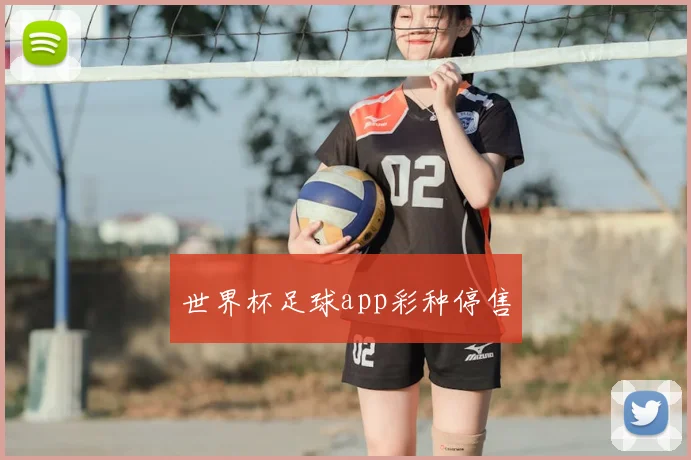 世界杯足球app彩种停售