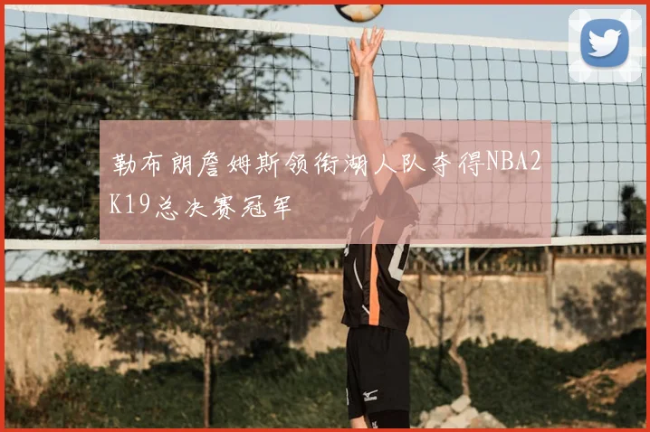 勒布朗詹姆斯领衔湖人队夺得NBA2K19总决赛冠军