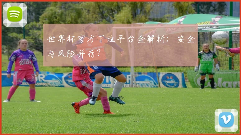 世界杯官方下注平台全解析：安全与风险并存？