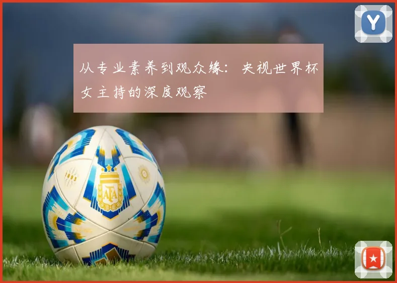 从专业素养到观众缘：央视世界杯女主持的深度观察
