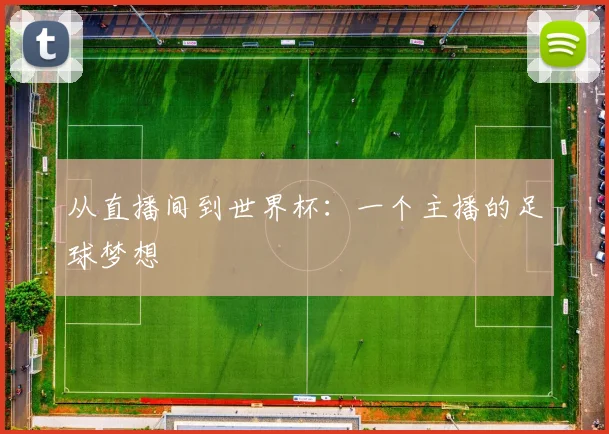 从直播间到世界杯:一个主播的足球梦想