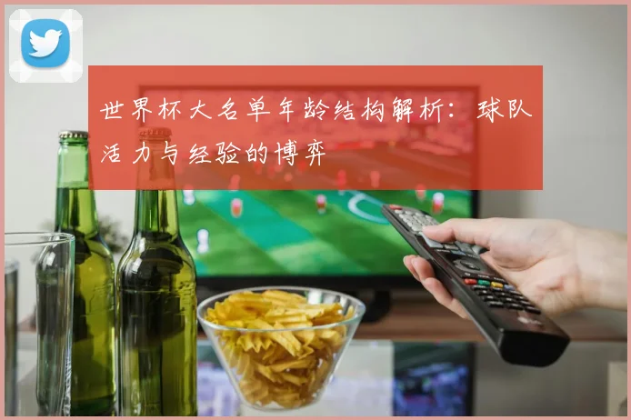 世界杯大名单年龄结构解析：球队活力与经验的博弈
